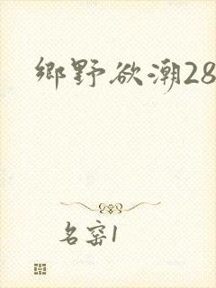 乡野欲潮28章
