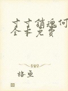 寸寸销魂何生祥全本免费