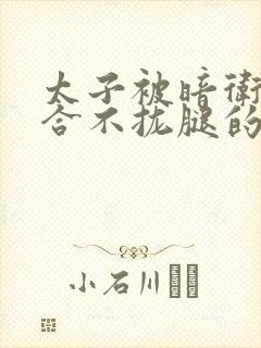 太子被暗卫c到合不拢腿的后果