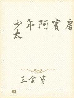 少年阿宾房东太太