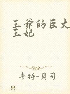 王爷的巨大进入王妃