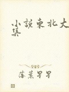 小说东北大炕全集