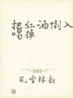 把红酒倒入b里喝掉