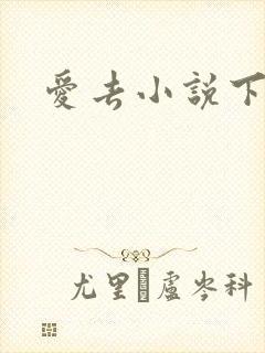 爱去小说下载网