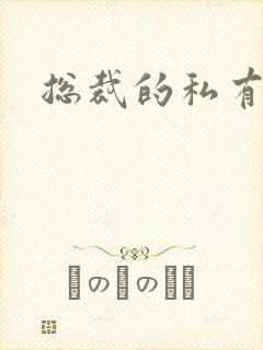 总裁的私有宝贝