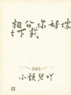 相公你好坏txt下载