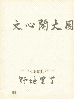 文心阁大团结