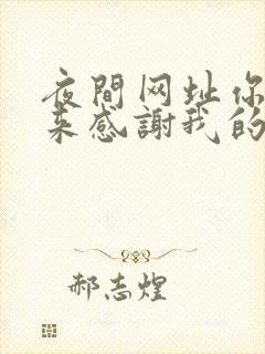 夜间网址你会回来感谢我的