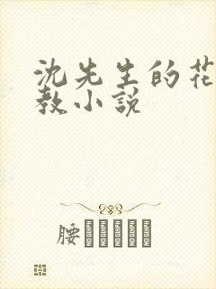 沈先生的花式调教小说