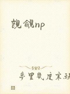 觊觎np