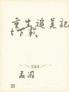 重生追美记txt下载