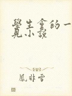 学生会的一己之见小说