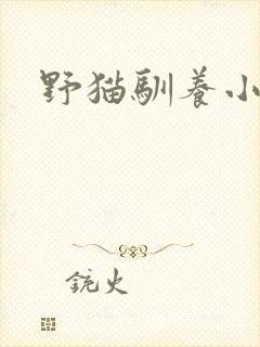 野猫驯养小说