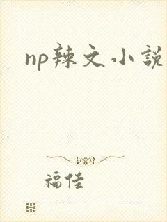 np辣文小说