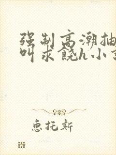 强制高潮抽搐哭叫求饶h小说