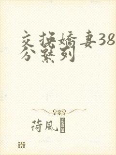 交换娇妻38部分系列