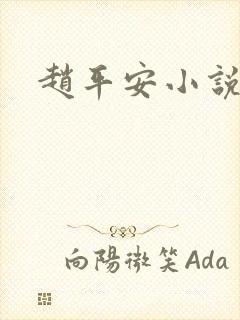 赵平安小说主角