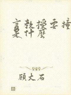 言教授要撞坏了是什么