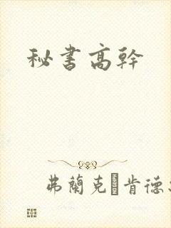 秘书高干