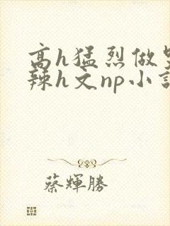 高h猛烈做哭高辣h文np小说