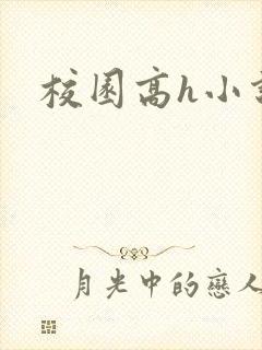 校园高h小说