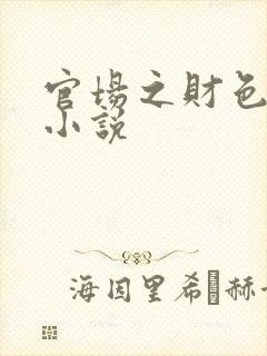 官场之财色诱人小说