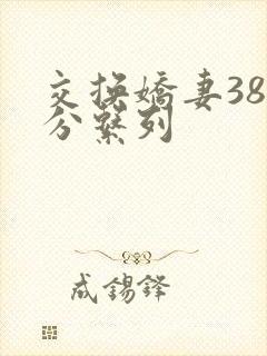 交换娇妻38部分系列