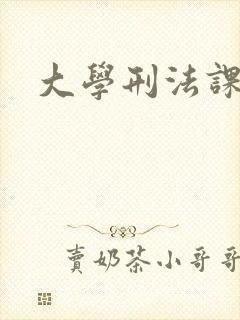 大学刑法课