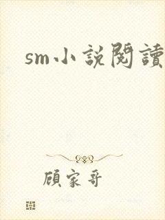 sm小说阅读