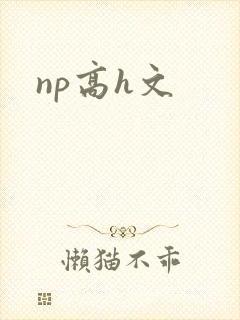 np高h文