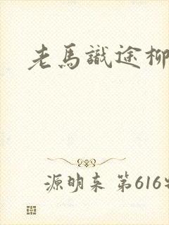 老马识途柳娇娇