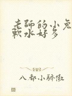 老师的小兔子好软水好多