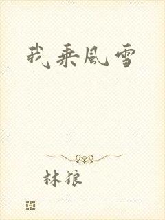 我乘风雪