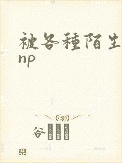 被各种陌生人 np