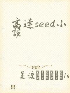 高达seed小说