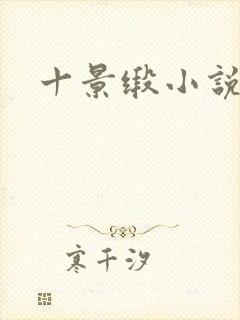 十景缎小说