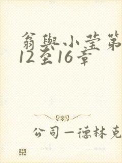 翁与小莹第十部12至16章