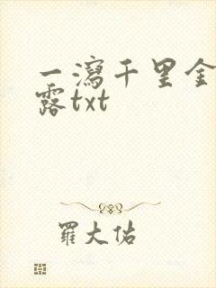 一泻千里金银花露txt