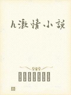 h激情小说