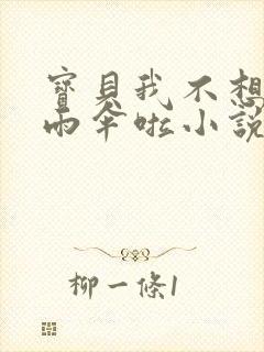 宝贝我不想带小雨伞啦小说