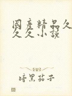 国产精品久久久久久小说