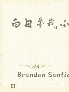 白日梦我小说