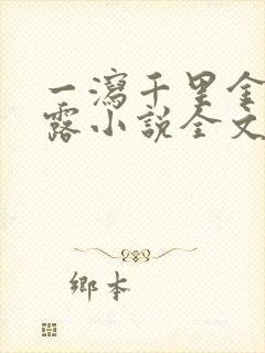 一泻千里金银花露小说全文免费阅读