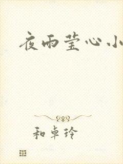 夜雨莹心小说
