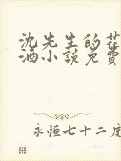 沈先生的花式调酒小说免费阅读