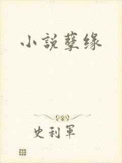 小说孽缘