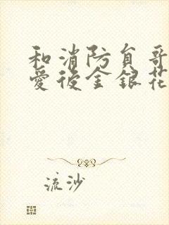 和消防员哥哥恋爱后金银花趣笔阁