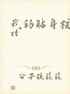 我的贴身校花txt