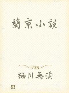 兰京小说