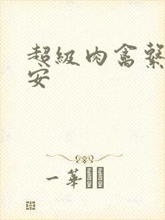 超级肉禽系统保安